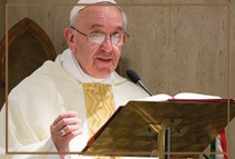Папа призвал людей следить за тем, что они говорят: Гнев и оскорбление могут убить