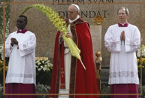 Проповедь Папы Римского Франциска на Вербное В